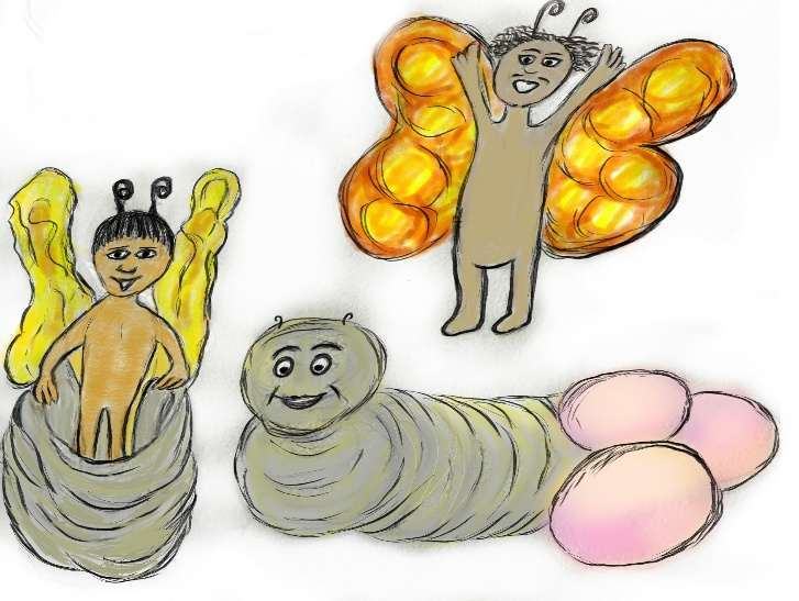 Zeichnung: Aus einem Kokon schlüpft ein junger Schmetterling, daneben liegt eine Raupe bei rosa Eiern, darüber fliegt ein orangefarbener Schmetterling.
